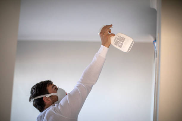 Best Mold Remediation  in Pembroke, NC
