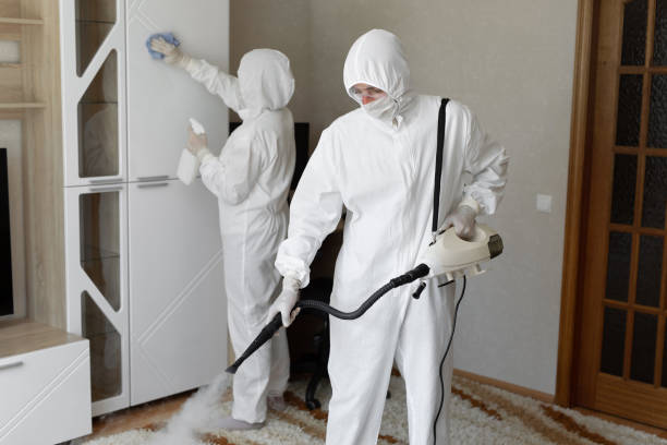 Mold Testing and Removal in Pembroke, NC