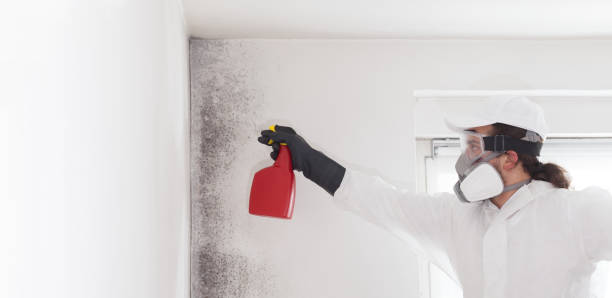 Best Emergency Mold Removal  in Pembroke, NC